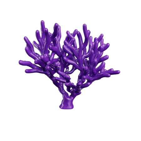 Purple Coral Reef Jccmedia Seashell  3D Icon