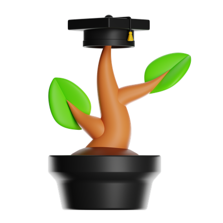 Qualität  3D Icon
