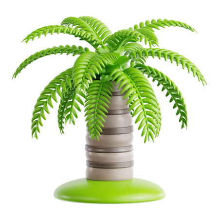 Queen Palm  3D Icon