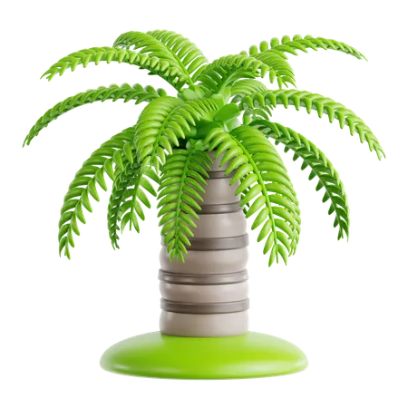 Queen Palm  3D Icon