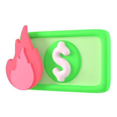 Queima de dólar  3D Icon