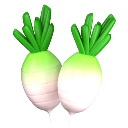 Rabanete  3D Icon