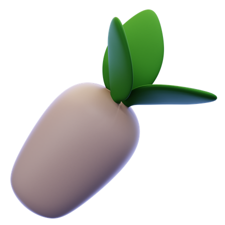 Rabanete  3D Icon