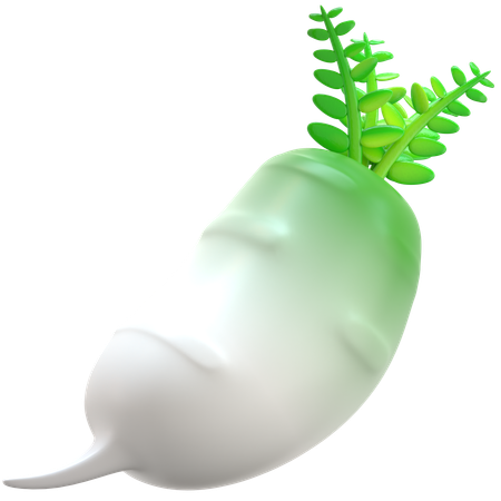 Rabanete branco  3D Icon