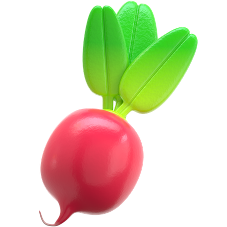 Rabanete vermelho  3D Icon