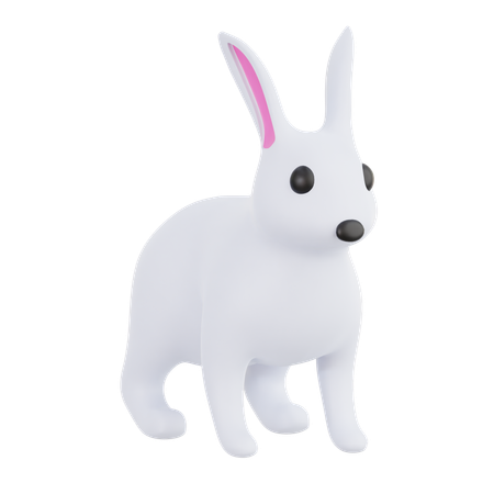 Rabbit  3D Icon