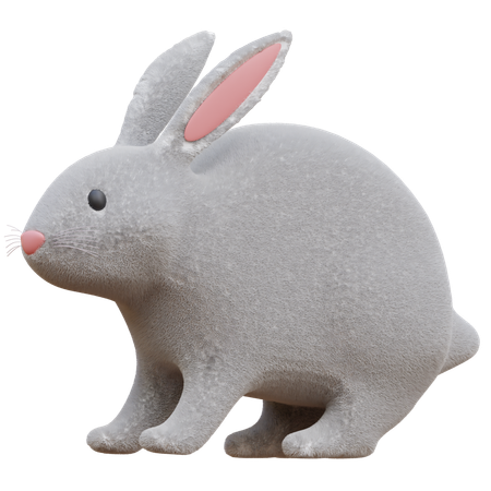 Rabbit  3D Icon