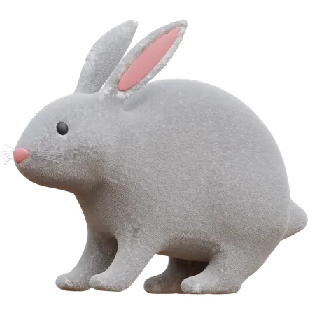 Rabbit  3D Icon