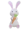 Rabbit Holding Carrot