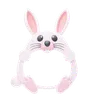 Rabbit Shape Animal Frame
