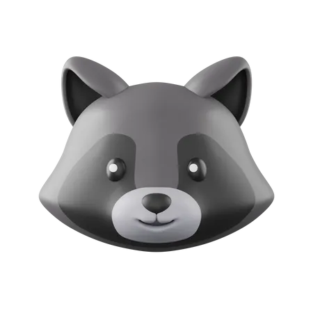 Racoon  3D Icon