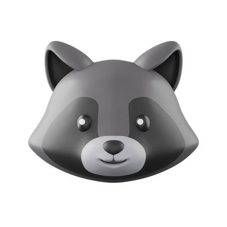 Racoon  3D Icon