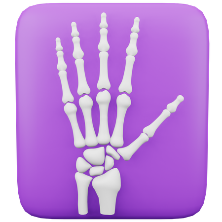 Radiographie  3D Icon