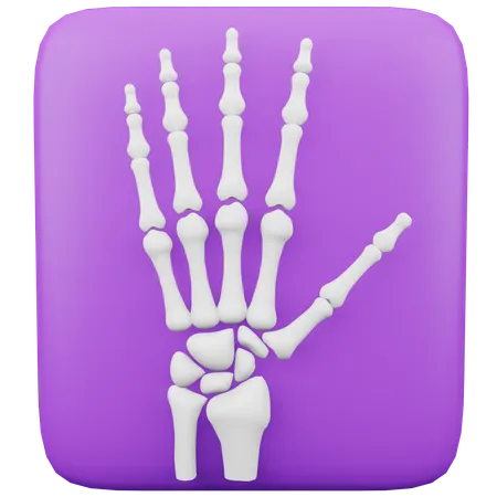 Radiographie  3D Icon