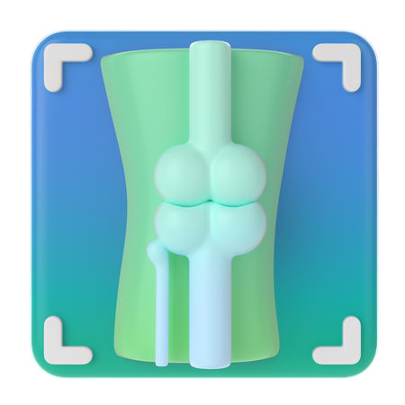 Radiographie des os  3D Icon