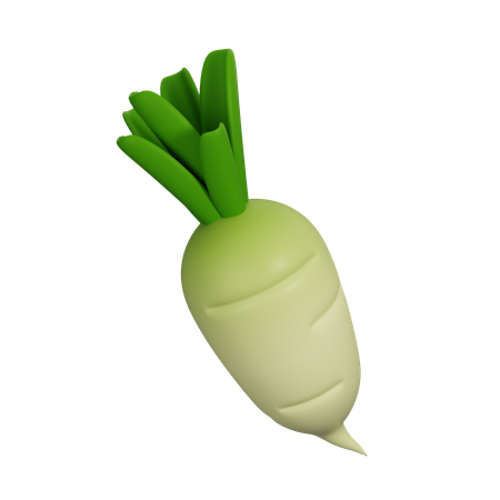 Un radis  3D Icon