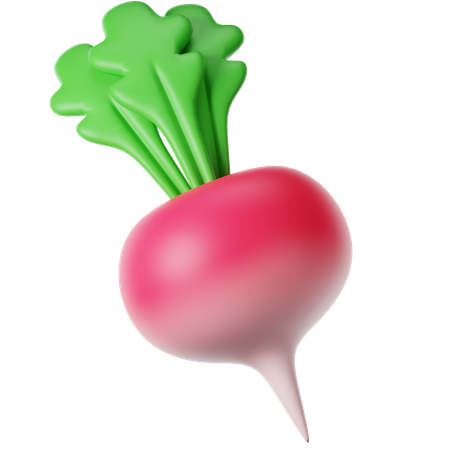 Un radis  3D Icon