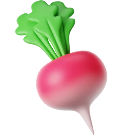 Un radis  3D Icon