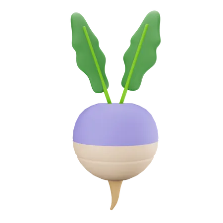 Un radis  3D Illustration