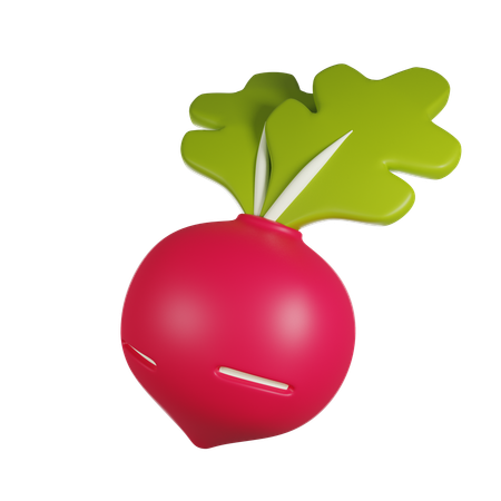 Radish  3D Icon