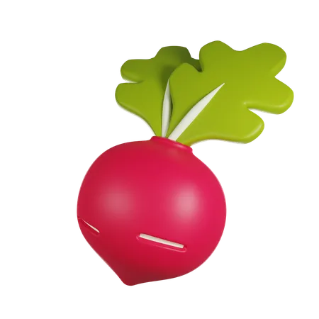 Radish  3D Icon