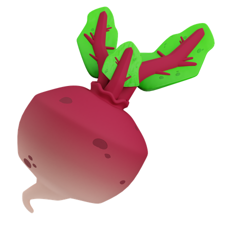 Radish  3D Icon