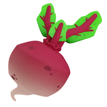 Radish  3D Icon