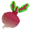 Radish