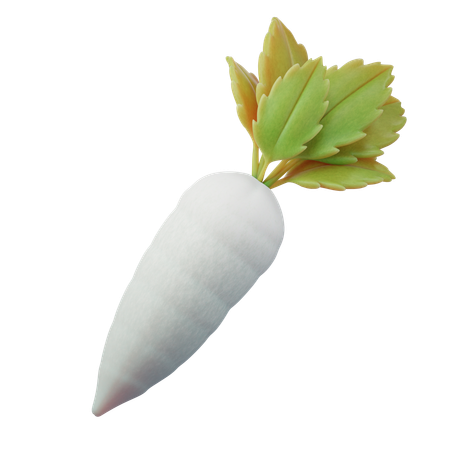 Radish  3D Icon