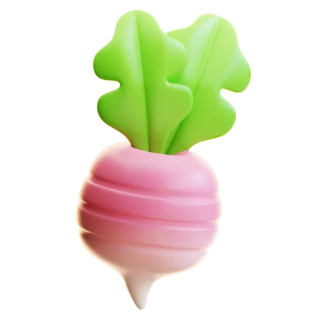 RADISH  3D Icon