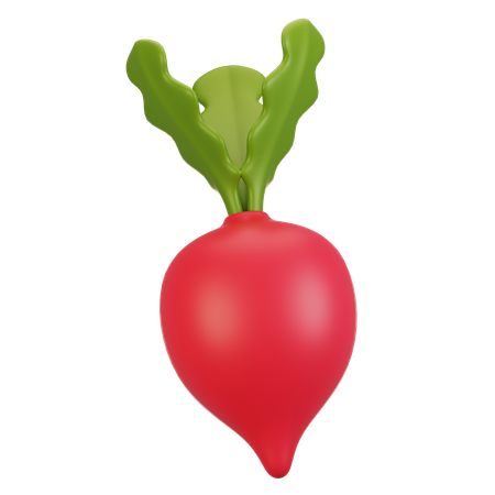 Radish  3D Icon