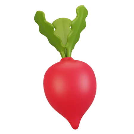 Radish  3D Icon