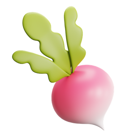 Radish  3D Icon