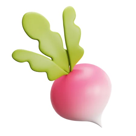 Radish  3D Icon