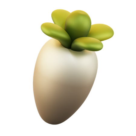 Radish  3D Icon