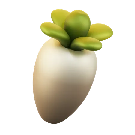 Radish  3D Icon