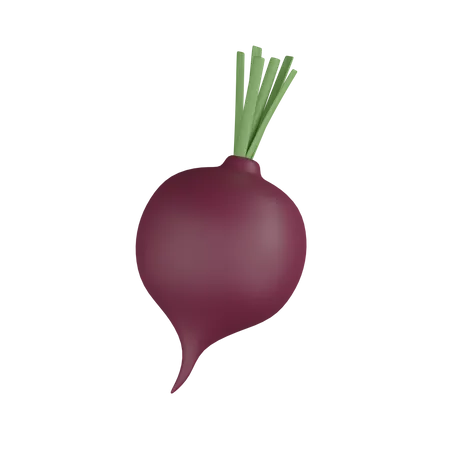 Radish  3D Icon