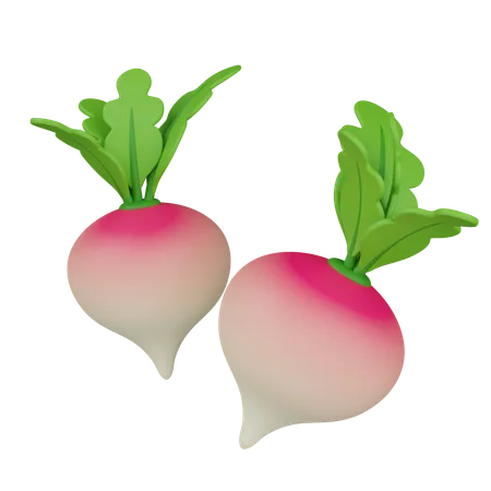 Radish  3D Icon