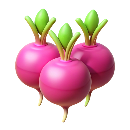 Radish  3D Icon