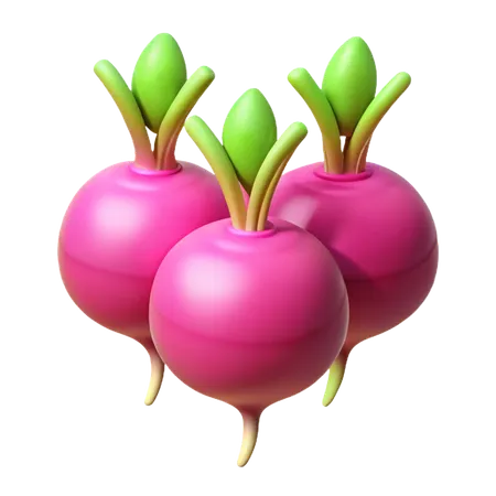 Radish  3D Icon