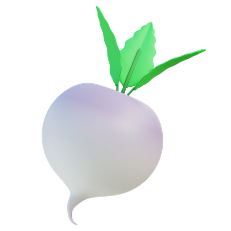 Radish  3D Icon