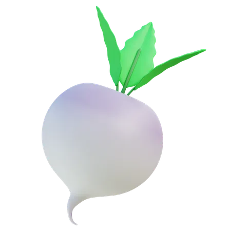 Radish  3D Icon