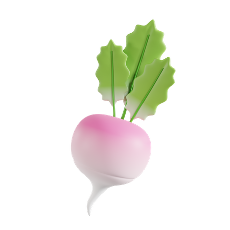 Radish  3D Icon