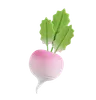 Radish