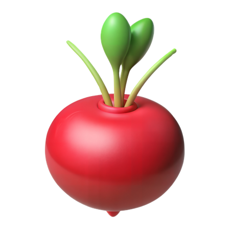 Radish  3D Icon