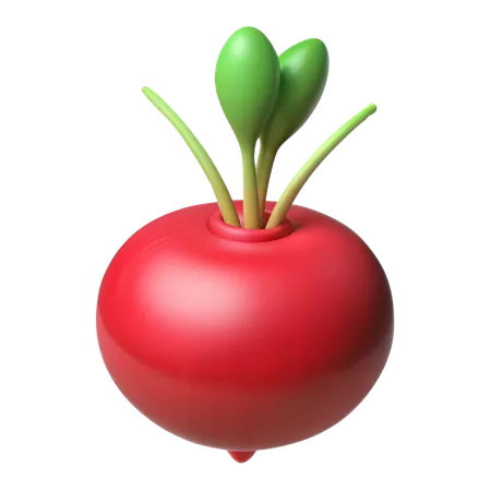 Radish  3D Icon