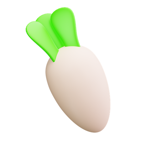 Radish  3D Icon