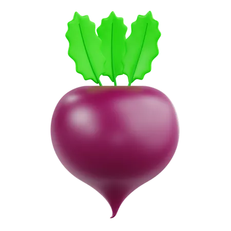 Radish  3D Icon