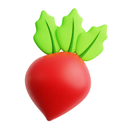 Radish  3D Icon