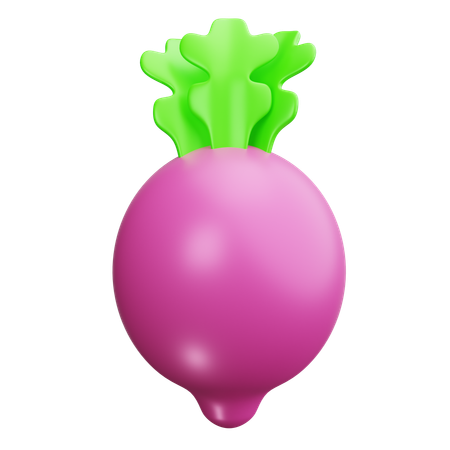 Radish  3D Icon